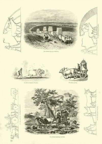 Page du Musée Pictural de la Nature Animée - English School