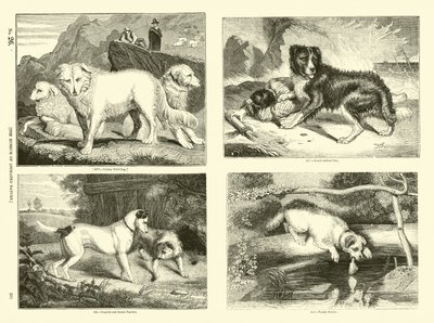 Page du Musée Pictural de la Nature Animée - English School