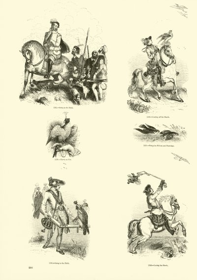 Page du Musée Pictural de la Nature Animée - English School