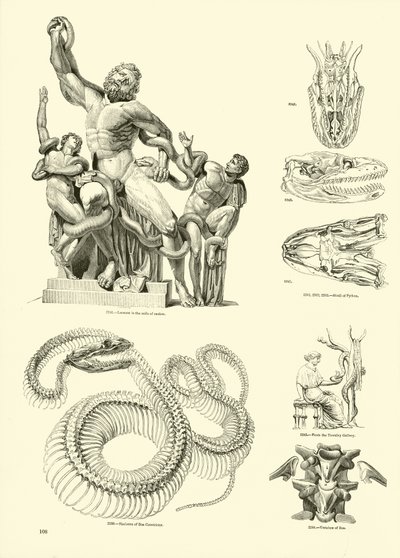 Page du Musée Pictural de la Nature Animée - English School