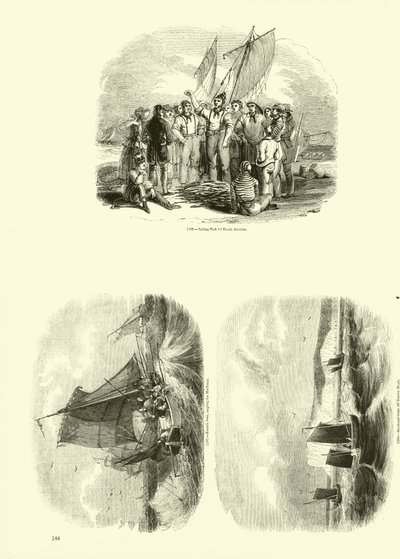 Page du Musée Pictural de la Nature Animée - English School