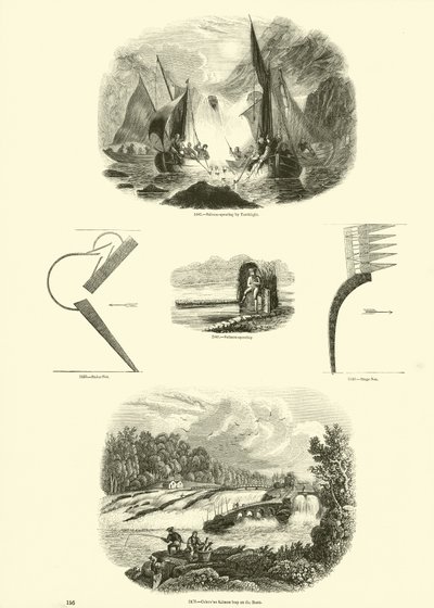Page du Musée Pictural de la Nature Animée - English School