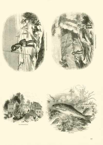 Page du Musée Pictural de la Nature Animée - English School