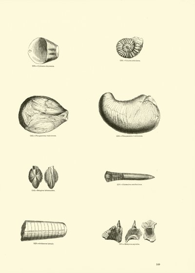 Page du Musée Pictural de la Nature Animée - English School