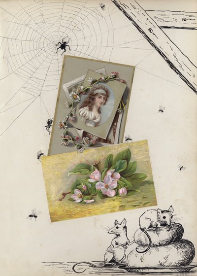 Page d