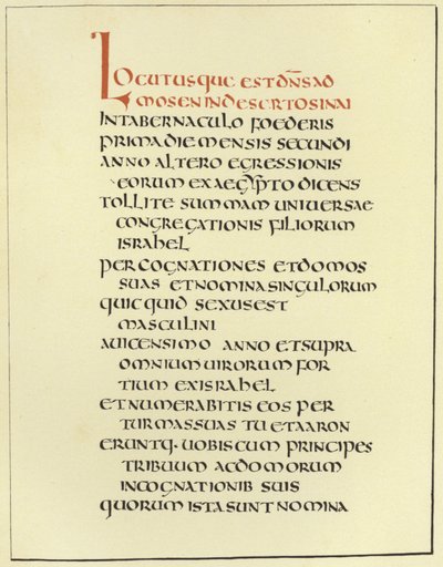 Page de la Bible latine Amiatine - English School