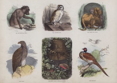 Page du Livre d