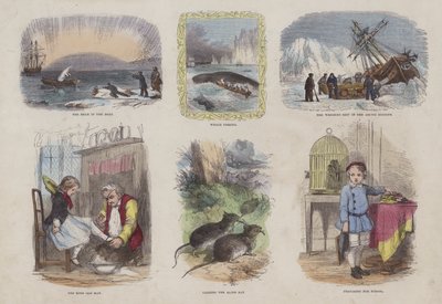 Page du Livre d