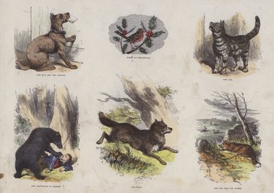 Page du Livre d