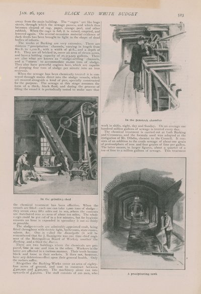 Page du Black and White Budget - English School
