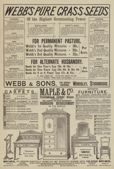 Page de Publicités - English School
