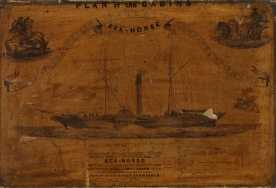 Plan des cabines du SS Sea-horse (gravure) - English School
