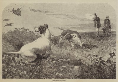 Chasse à la perdrix (gravure) - English School