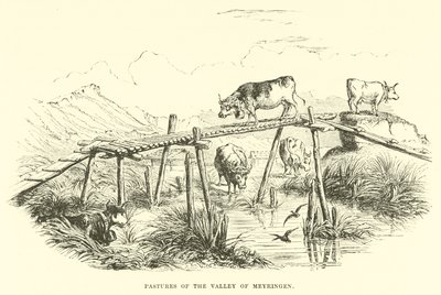 Pâturages de la vallée de Meyringen - English School