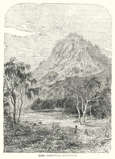 Pic Tangulla, Australie (gravure) - English School