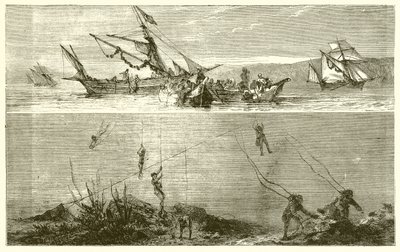 Pêche de perles - English School