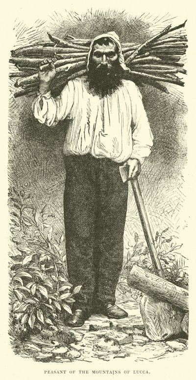 Paysanne des montagnes de Lucques - English School