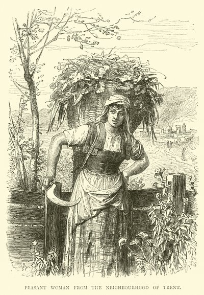 Paysanne du quartier de Trente - English School