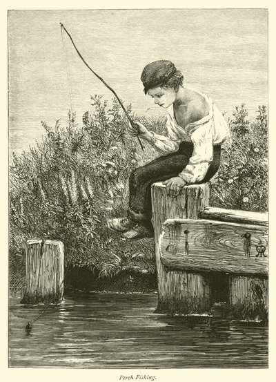 Pêche au brochet - English School