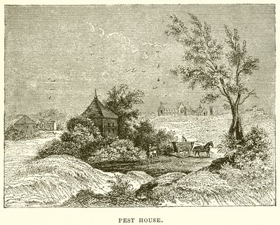 Pest House - English School