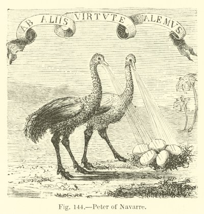 Pierre de Navarre - English School