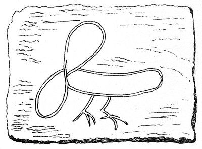 Phallus avec les jambes d