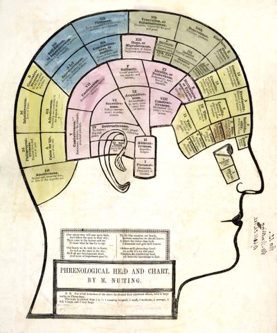 Tête et Carte Phrenologique, pub. 1857 - English School
