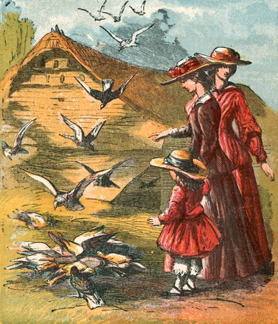 Pigeons venant manger du maïs - English School