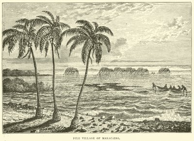 Village sur pilotis de Maracaibo - English School
