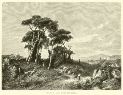 Pinède près de Torre del Greco - English School