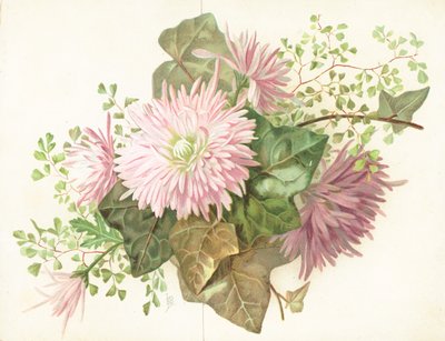 Fleurs roses (Dahlia) - English School