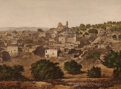 Lieux mentionnés dans la Bible : Béthanie - English School