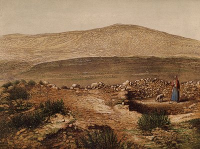 Lieux mentionnés dans la Bible : Puits de Jacob - English School
