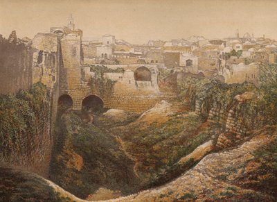 Lieux mentionnés dans la Bible : La piscine de Bethesda - English School