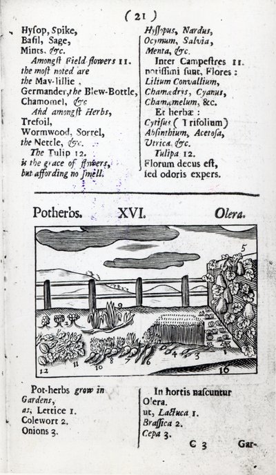 Agriculture tirée de 