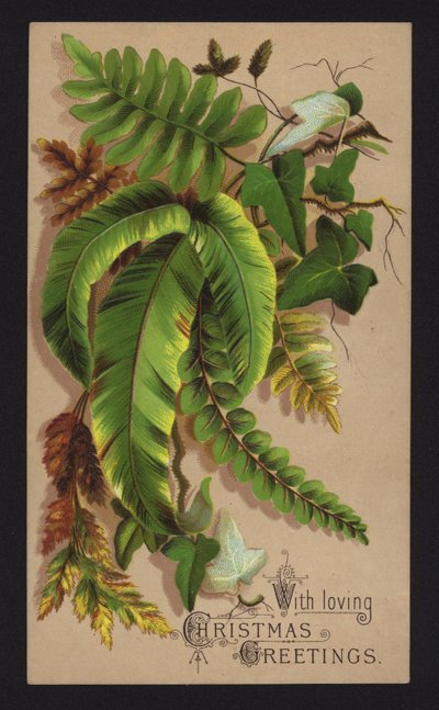 Feuilles de Plantes, carte de vœux de Noël, fin du 19e ou début du 20e siècle - English School