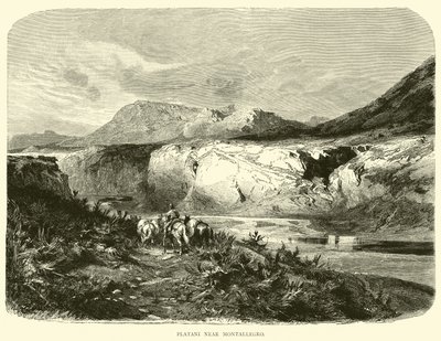 Platani près de Montallegro - English School