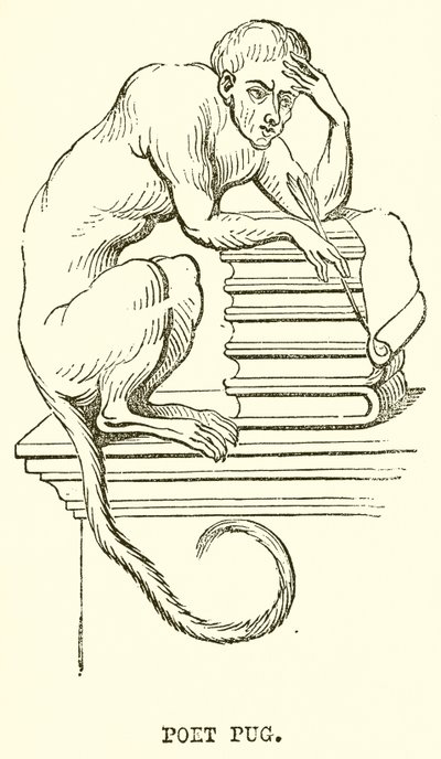 Poète Pug - English School