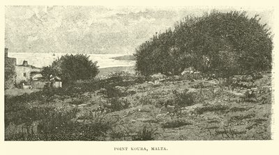 Point Koura, Malte - English School