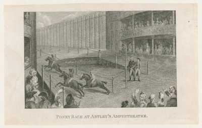 Course de poneys à l