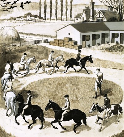 Poneys en exercice - English School
