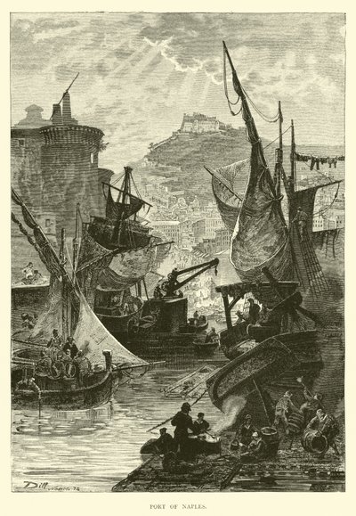 Port de Naples - English School