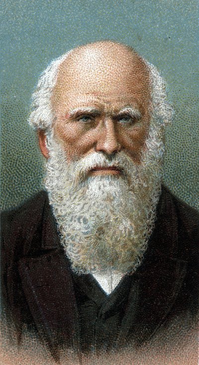 Portrait de Charles Robert Darwin (1809-1882) - De la série « Leaders of Men » - English School