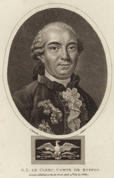 Portrait de Georges-Louis Leclerc, Comte de Buffon - English School