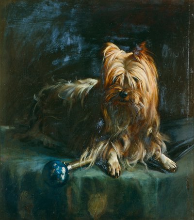 Portrait de Jim; un Yorkshire Terrier - English School