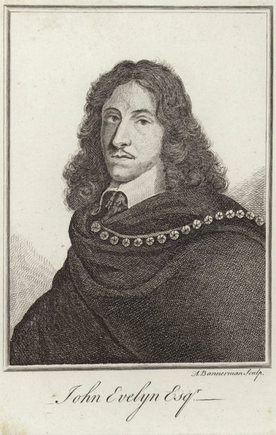 Portrait de John Evelyn - English School