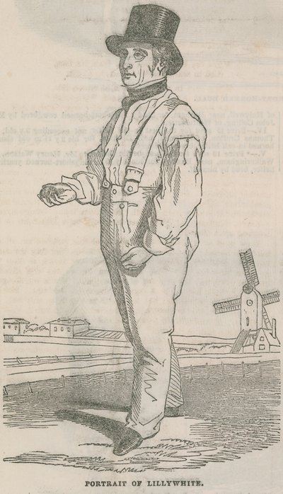 Portrait de Lillywhite - English School