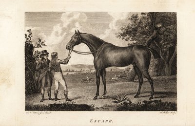 Portrait du célèbre coureur pur-sang Escape avec jockey et entraîneur - English School