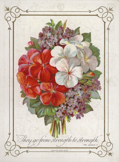 Bouquet de fleurs - English School