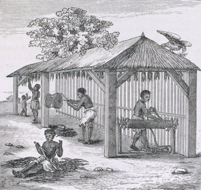 Préparation du tabac, de 